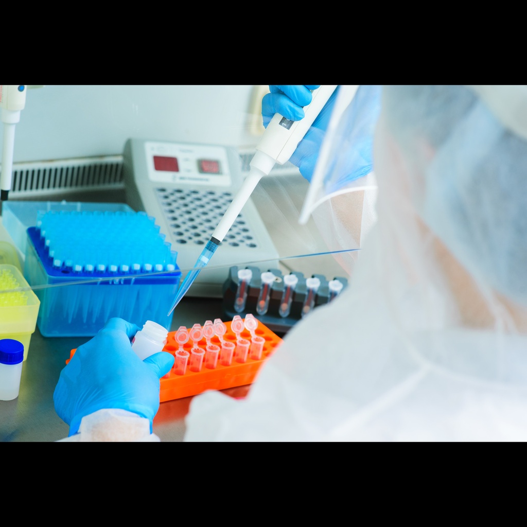 Corynebacterium diphtheriae One Step qPCR size: 100 Reactions