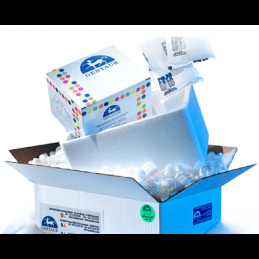 [0870-ABC-RC568H] Asize:673 Luciferase Reporter Cell Line, 1 vial