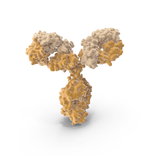 [0513-CABT-L3141] Chimeric Human Anti-PEG monoclonal antibody, clone Dbhq5