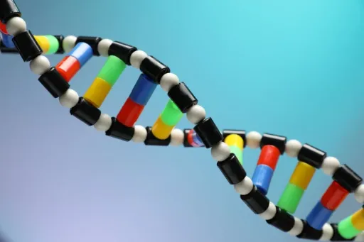 DNA Transcription